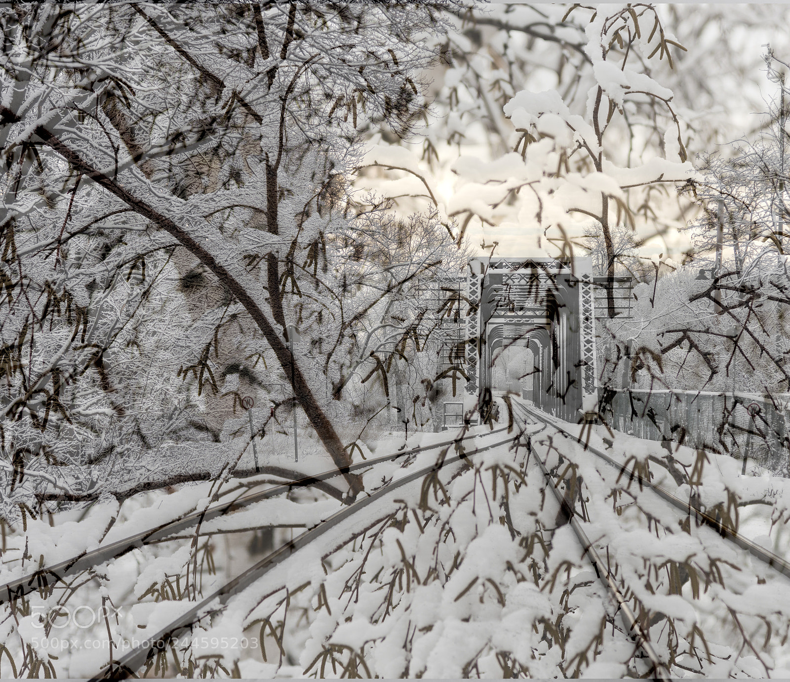 Nikon D810 sample photo. Parcdesprairies photography