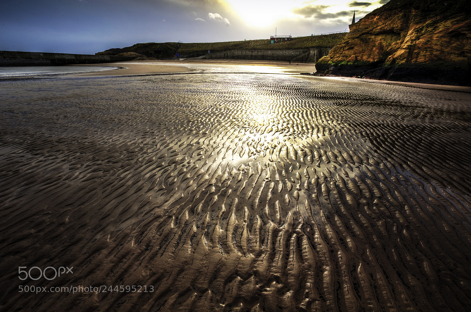 Canon EOS-1D X sample photo. Wet sand photography