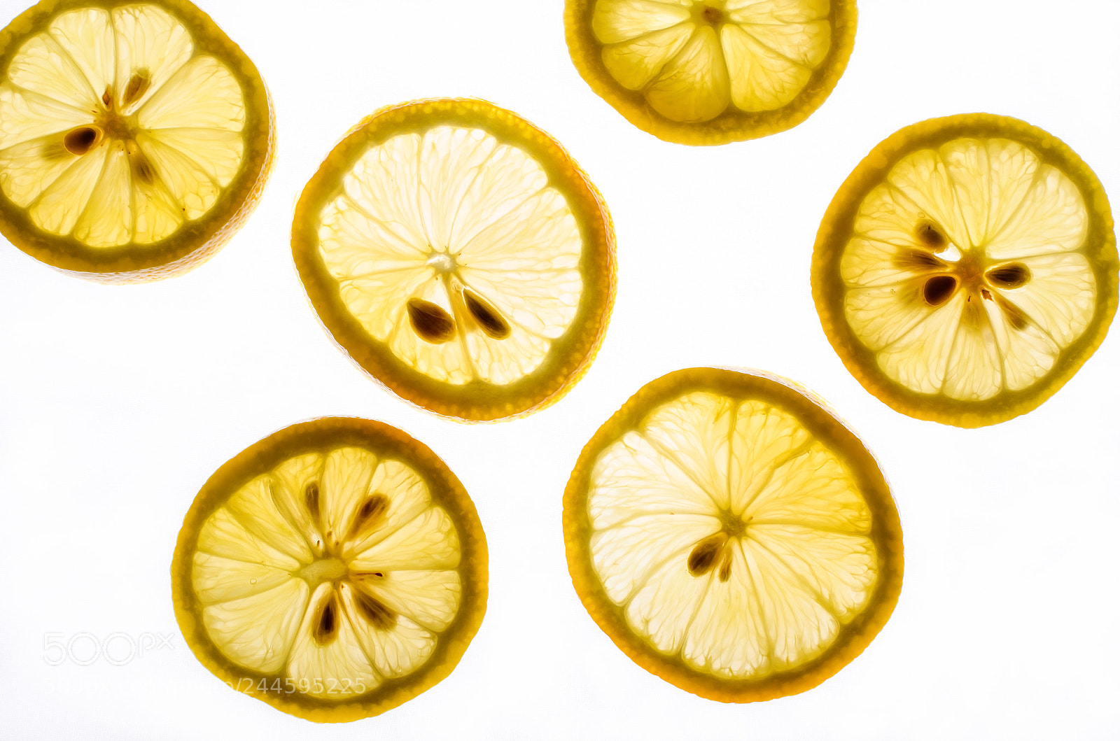 Nikon D5100 sample photo. Lemon slices photography