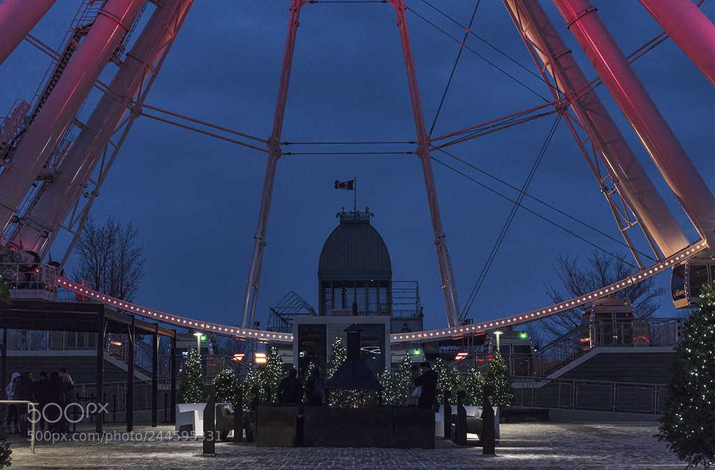 Nikon D810 sample photo. Montreal photography