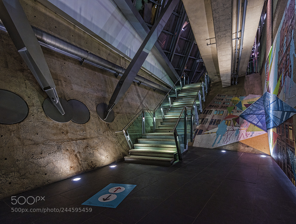 Nikon D810 sample photo. Montreal photography
