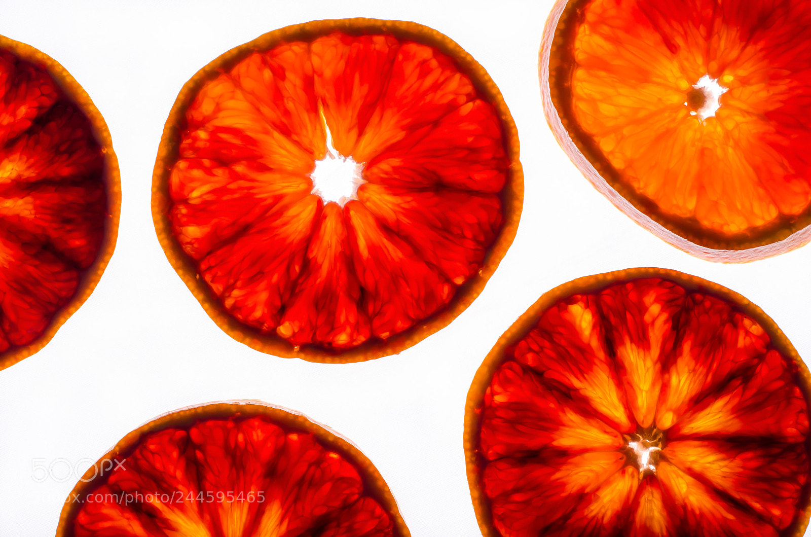Nikon D5100 sample photo. Blood red photography