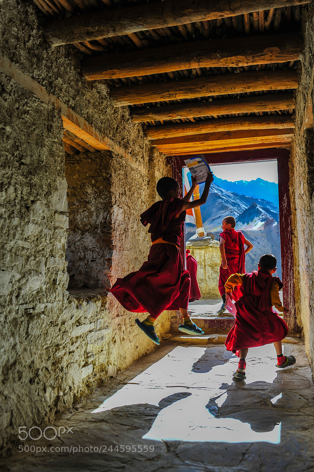 Nikon D700 sample photo. Playful little monks photography
