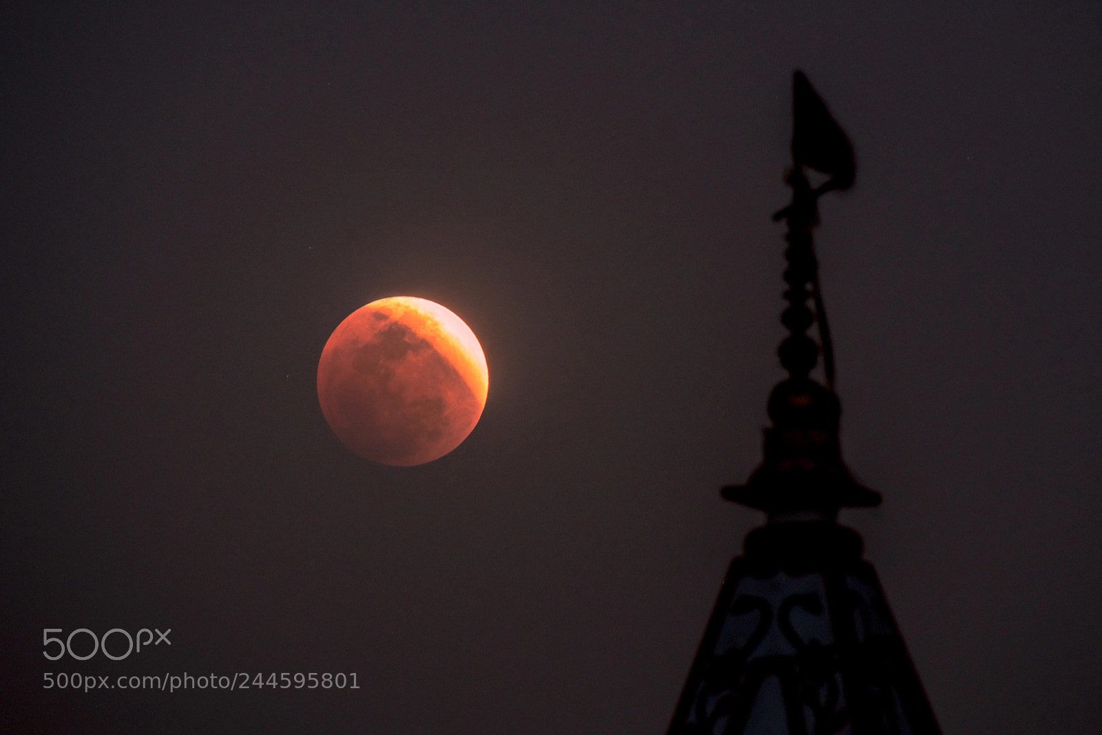 Nikon D850 sample photo. The blood moon with photography
