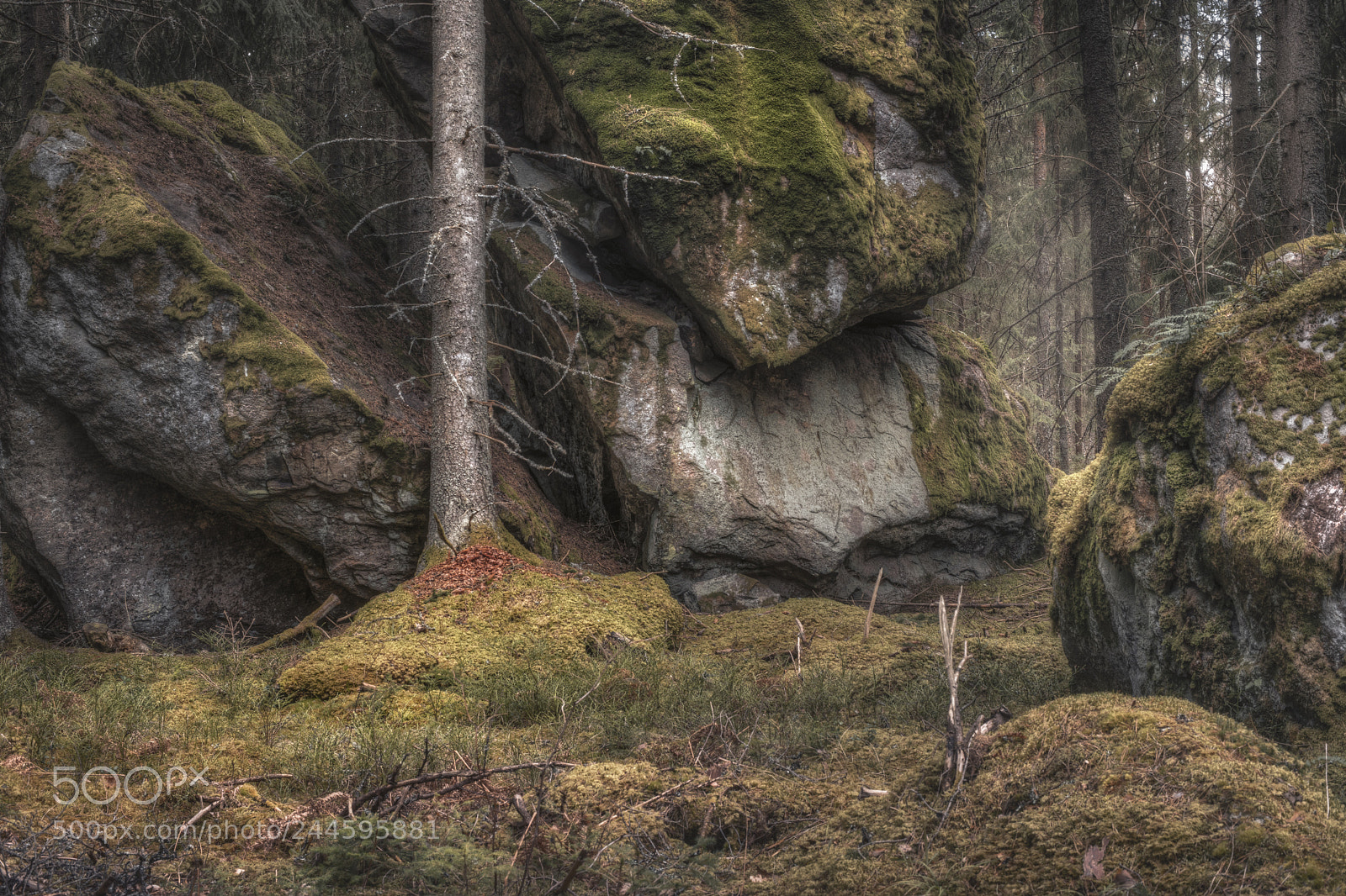 Nikon D800 sample photo. The heart of scandinavian photography