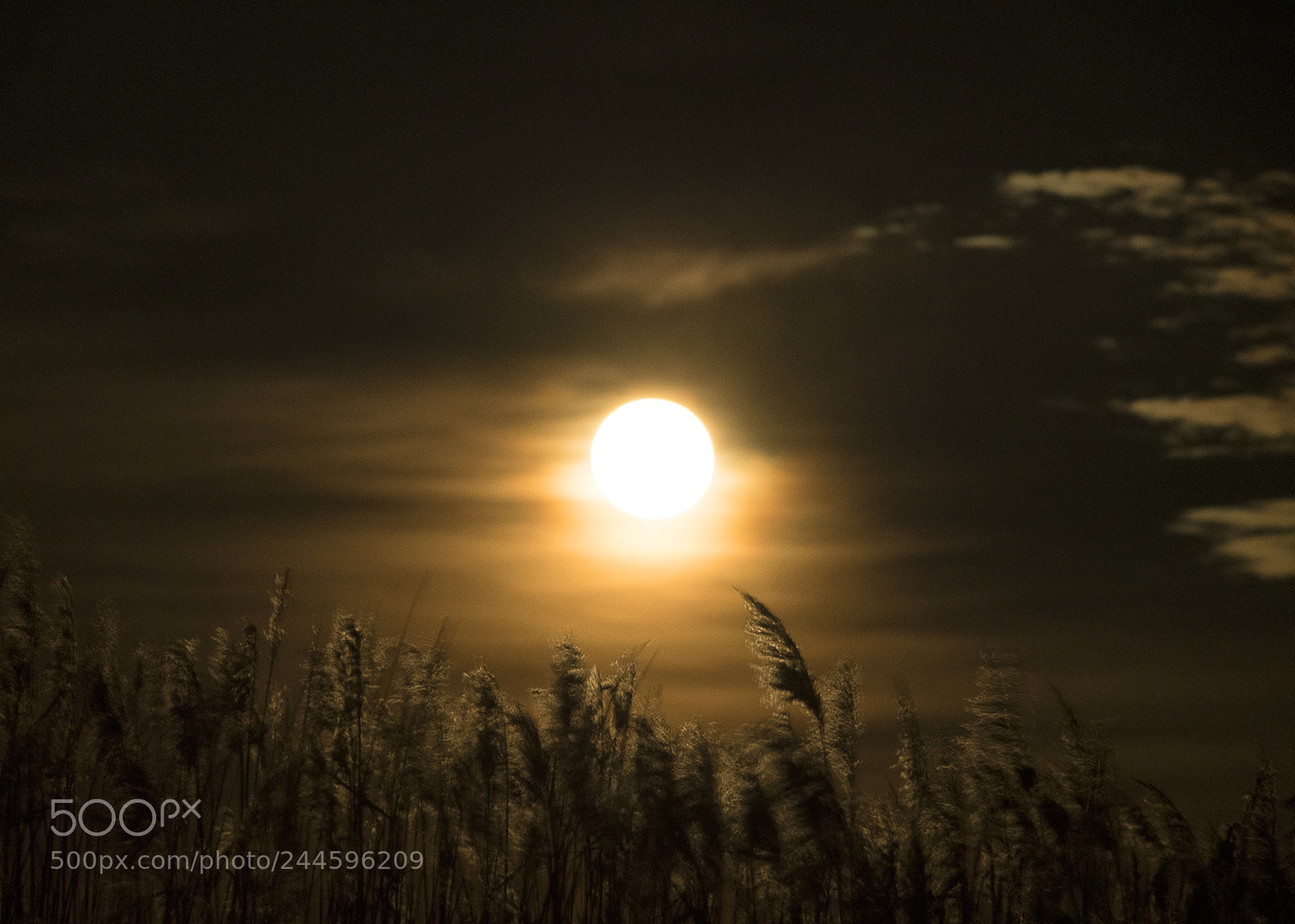 Sony a7R III sample photo. Super moon photography