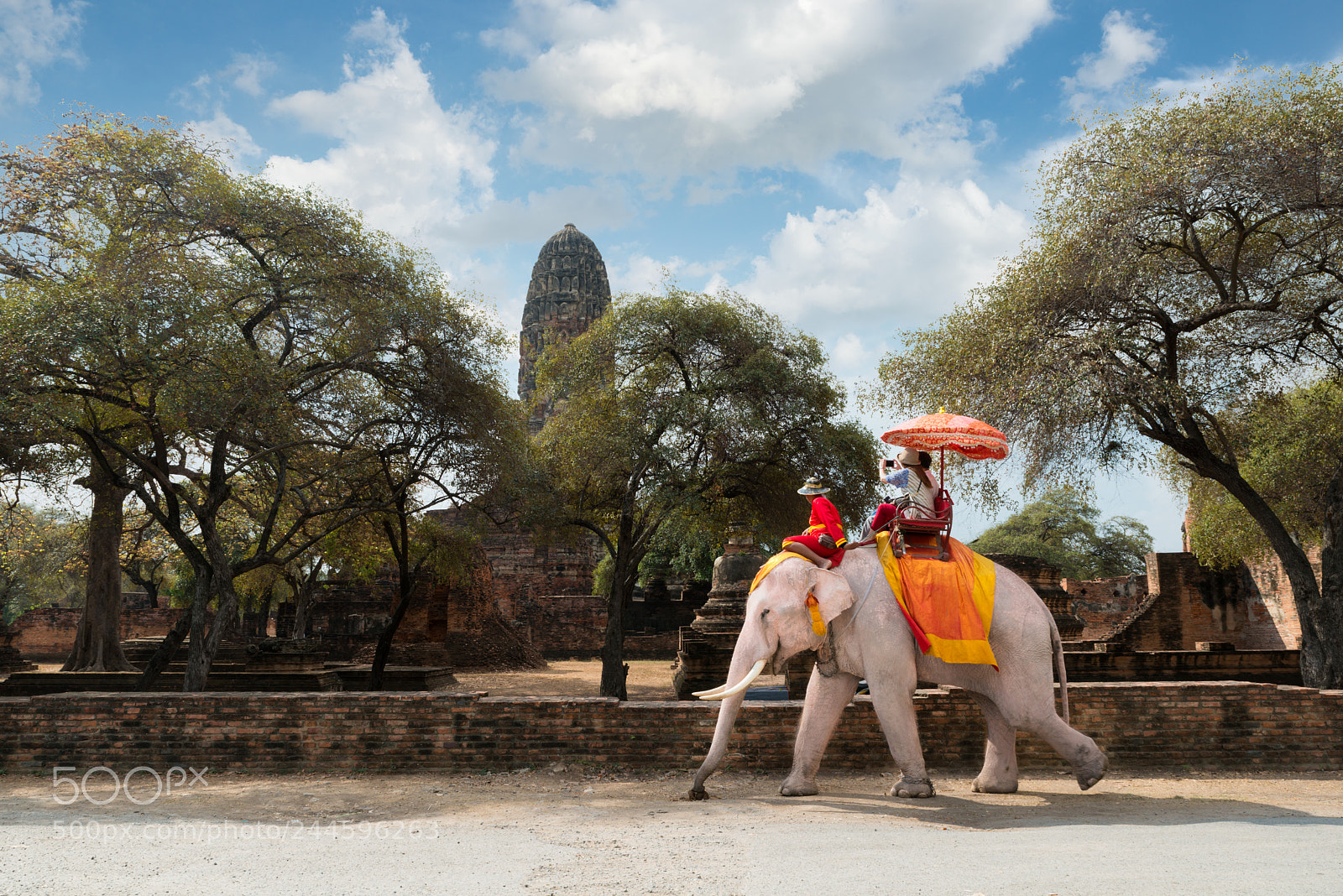 Nikon D800 sample photo. Couple tourists riding elephant photography