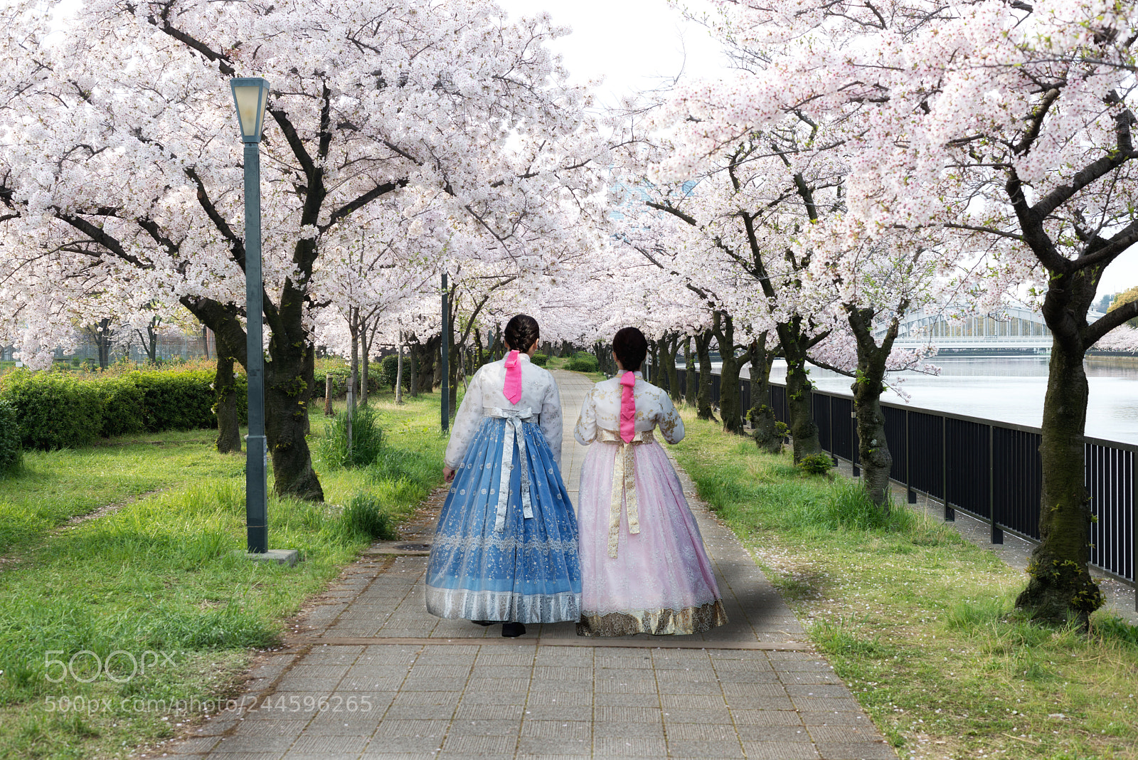 Nikon D800 sample photo. Two asian woman wearing photography