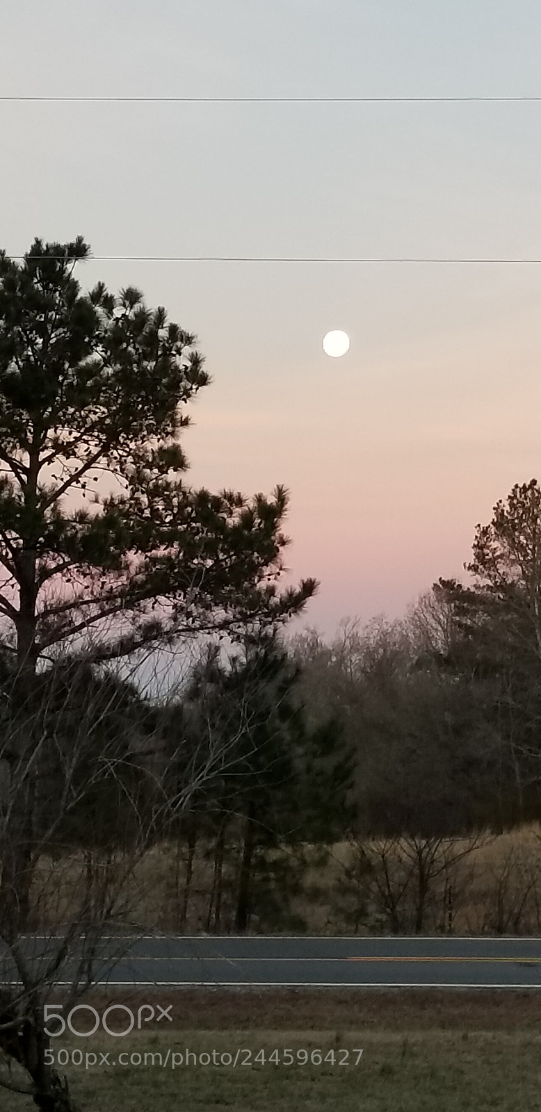 Samsung Galaxy S8+ sample photo. Untitled photography