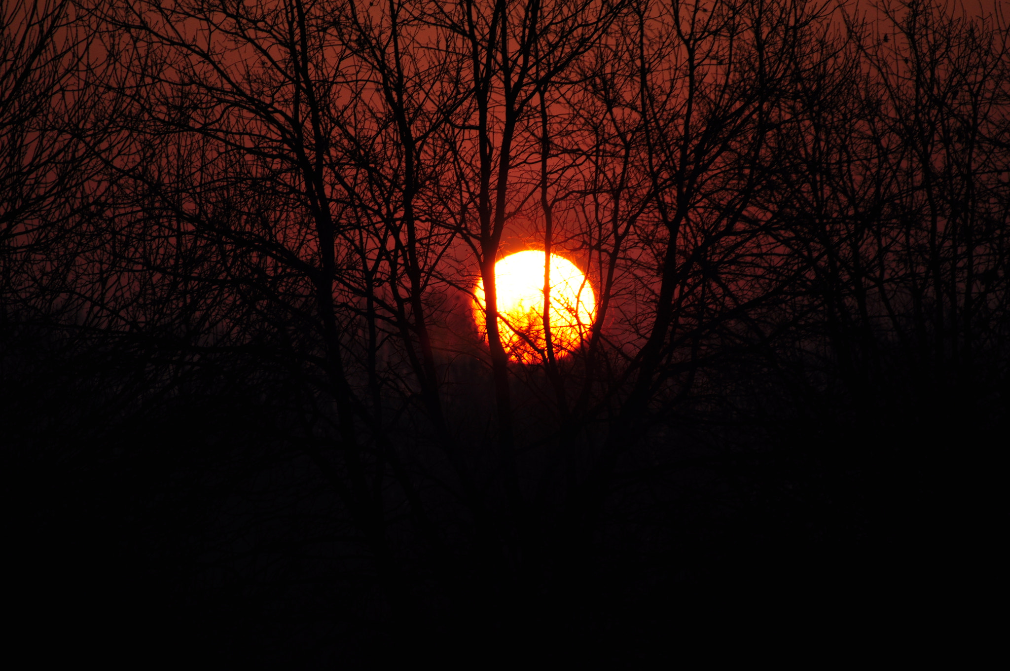 Nikon D90 sample photo. Unt.7173 photography
