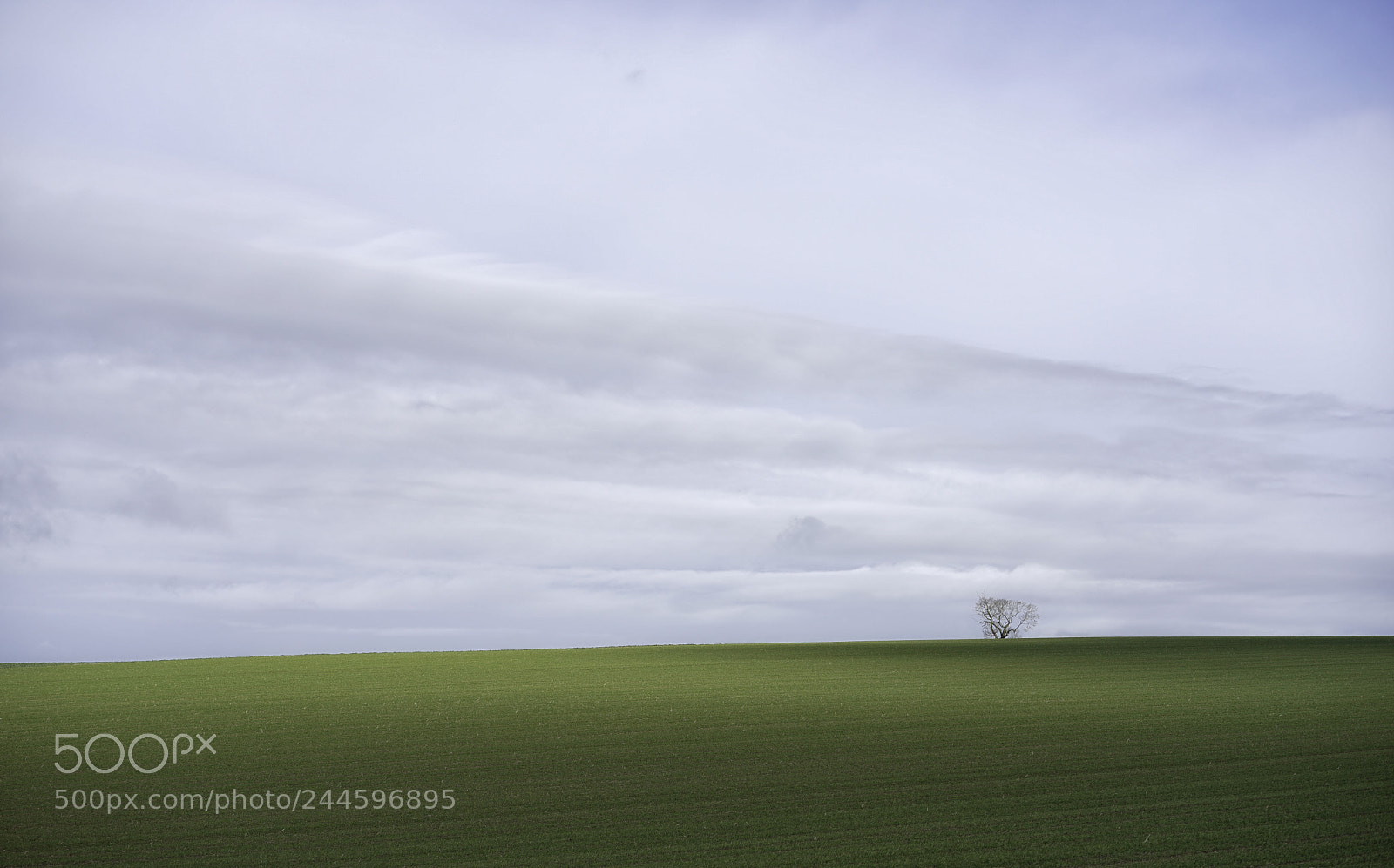 Sony a7 II sample photo. Windows xp photography