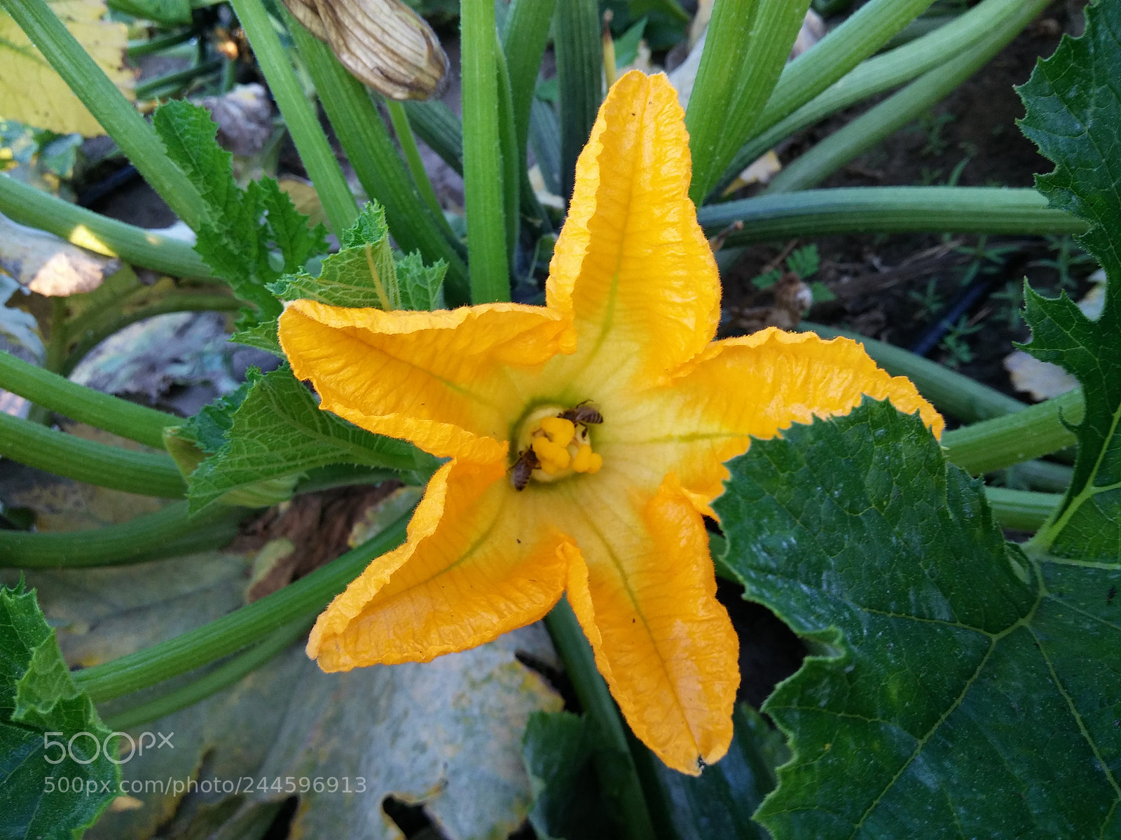 LG G3 sample photo. 20150807_062815 1.jpg photography