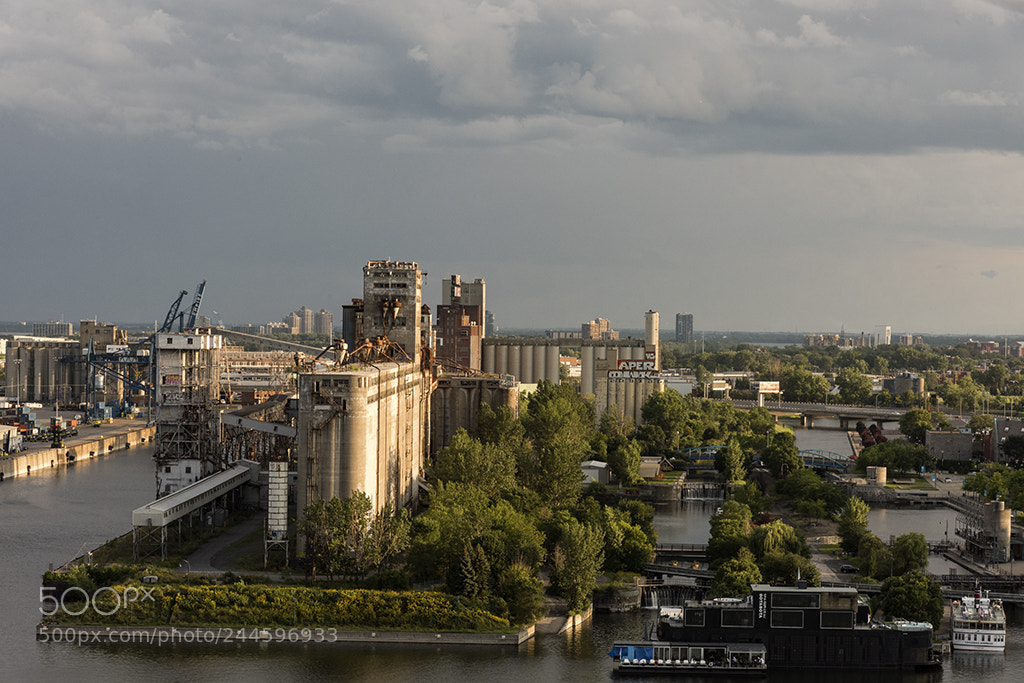 Nikon D810 sample photo. Convoyeur photography