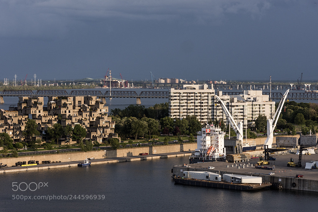 Nikon D810 sample photo. Convoyeur photography