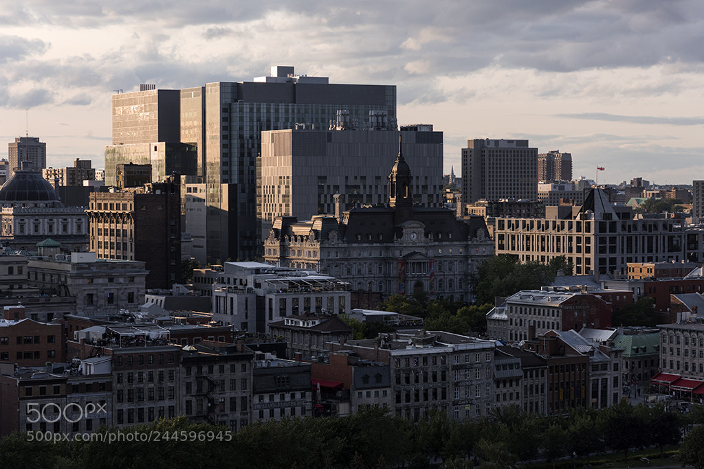 Nikon D810 sample photo. Montréal photography