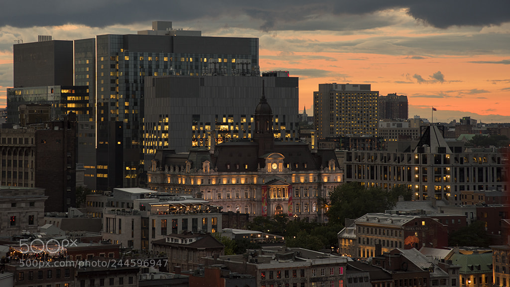 Nikon D810 sample photo. Montréal photography