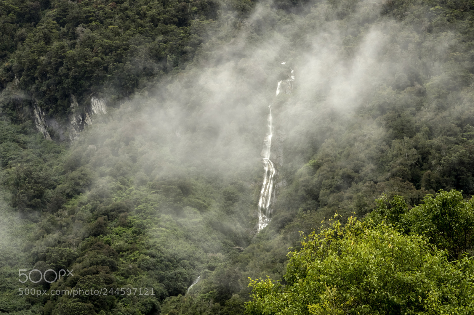 Pentax K-3 II sample photo. Foggy morning photography