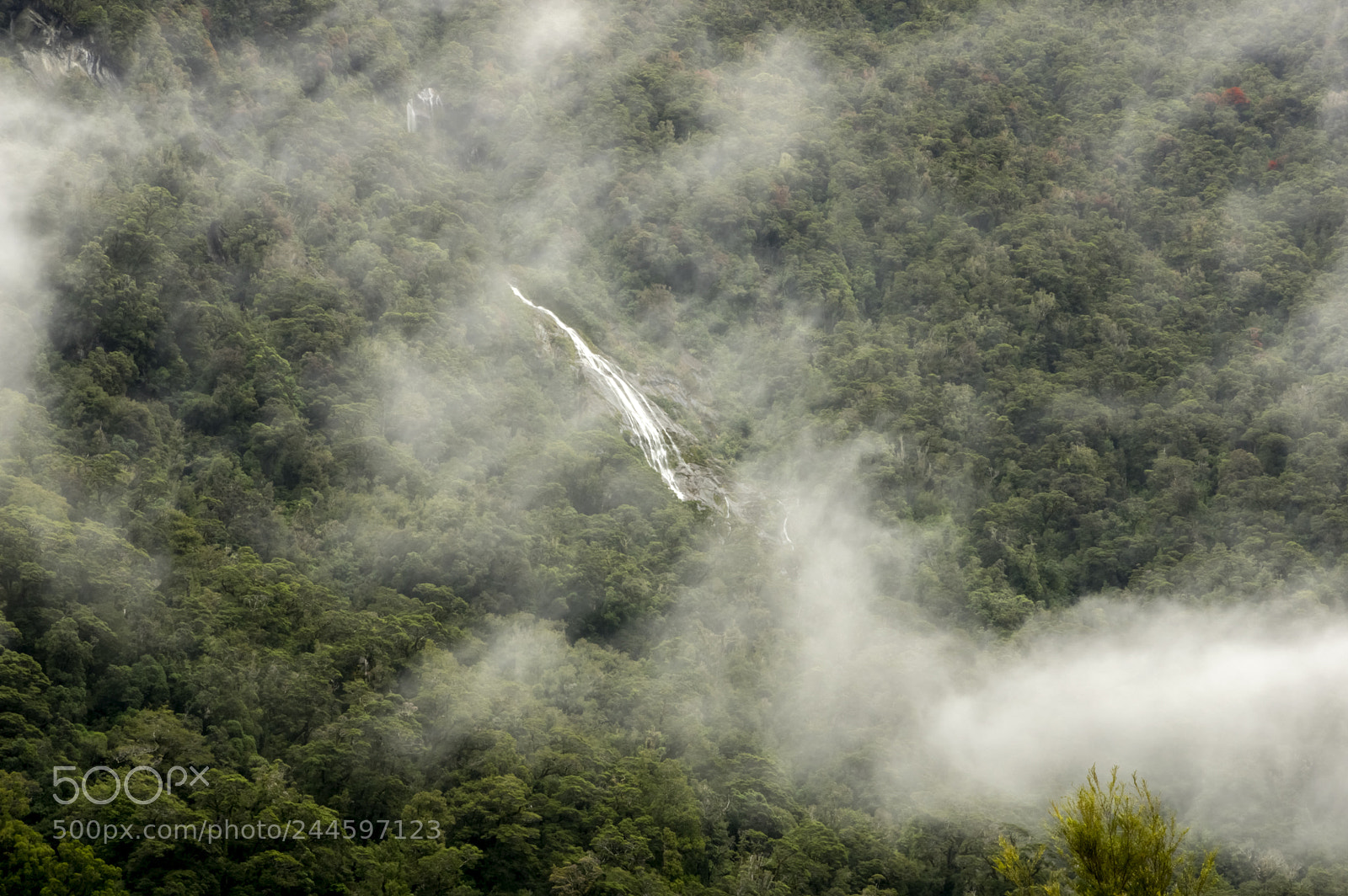 Pentax K-3 II sample photo. Foggy morning photography
