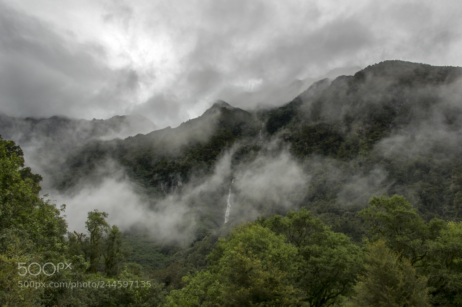 Pentax K-3 II sample photo. Foggy morning photography