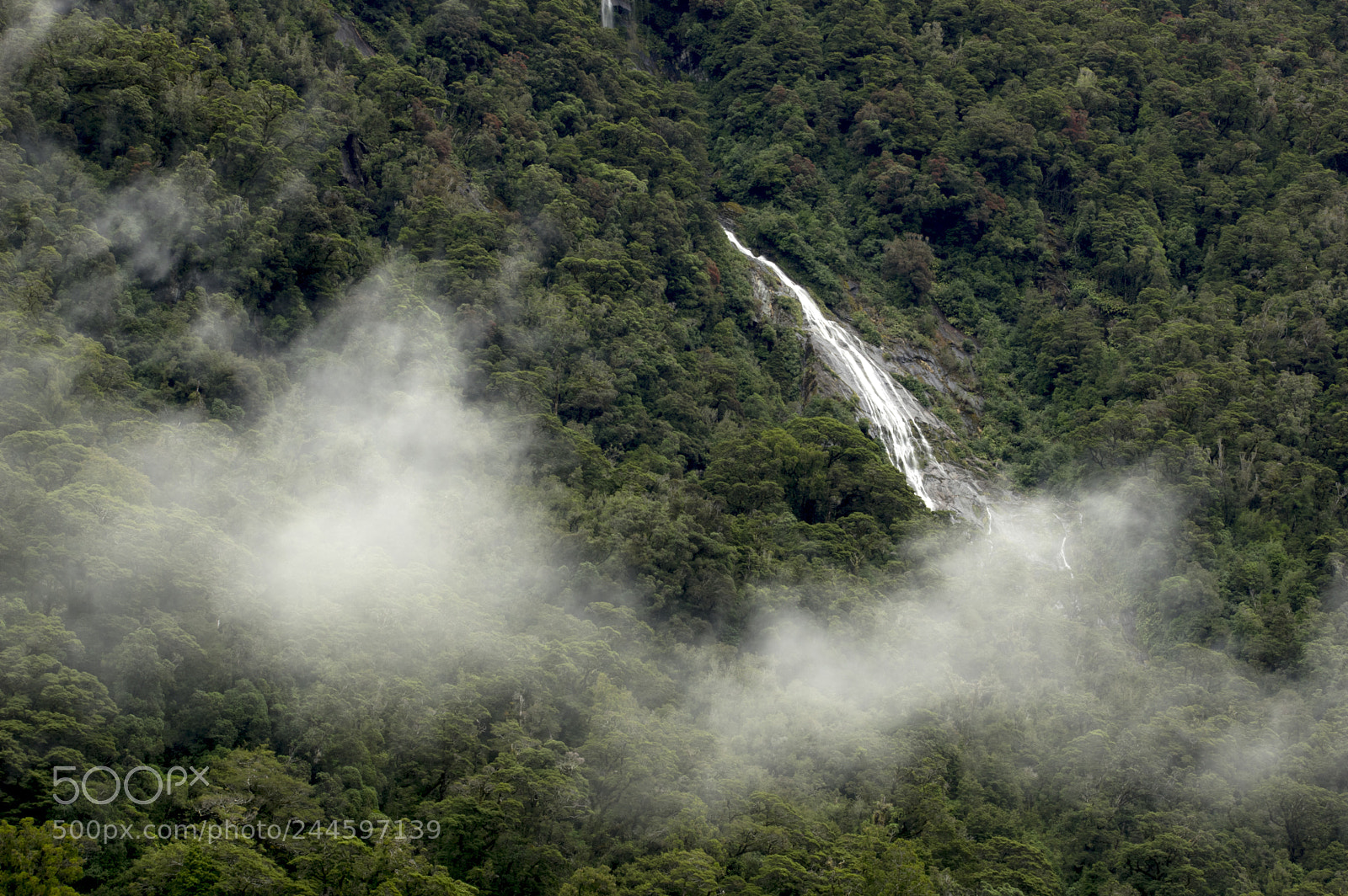 Pentax K-3 II sample photo. Foggy morning photography