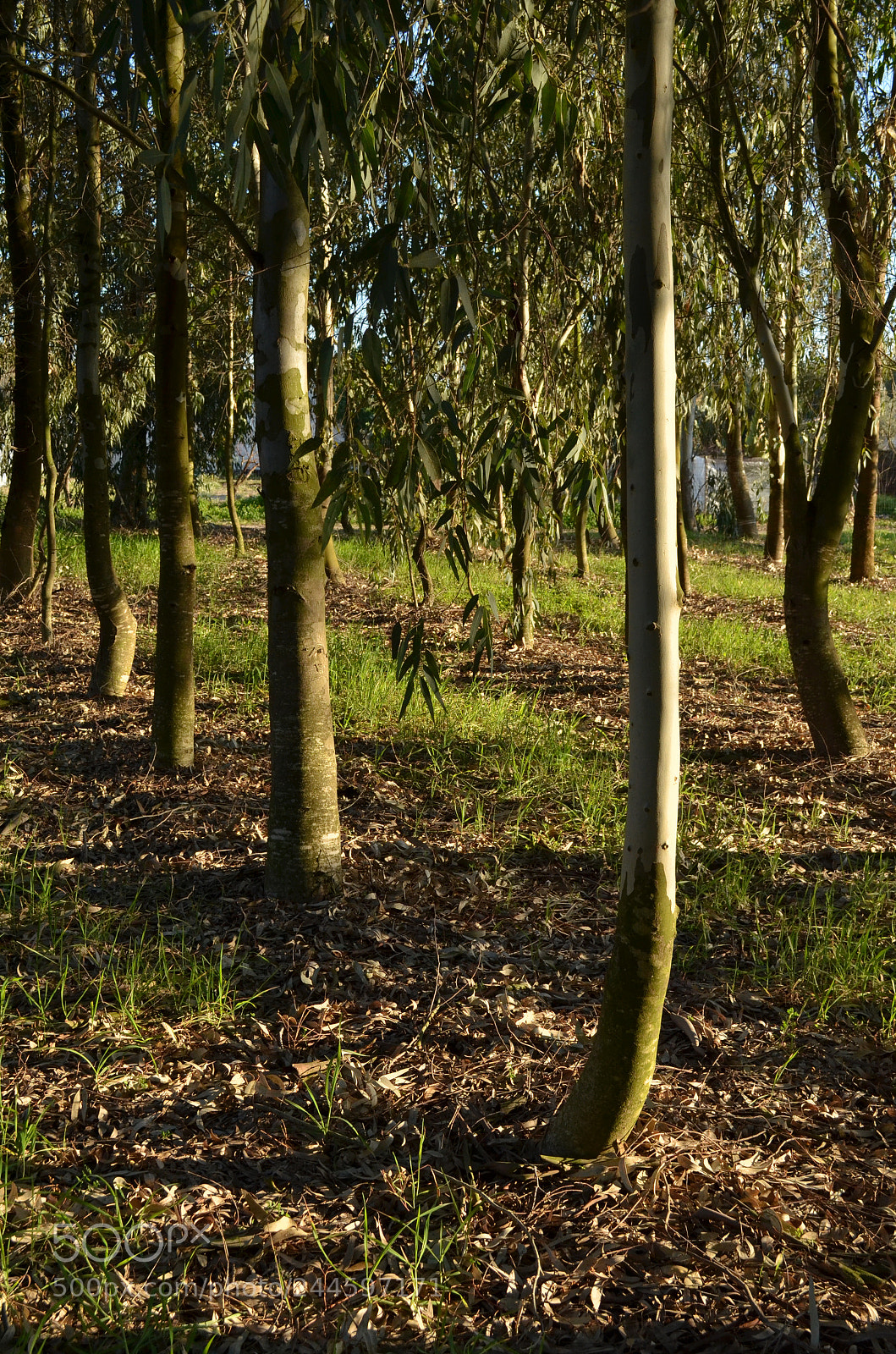 Nikon D5100 sample photo. Yellow box photography
