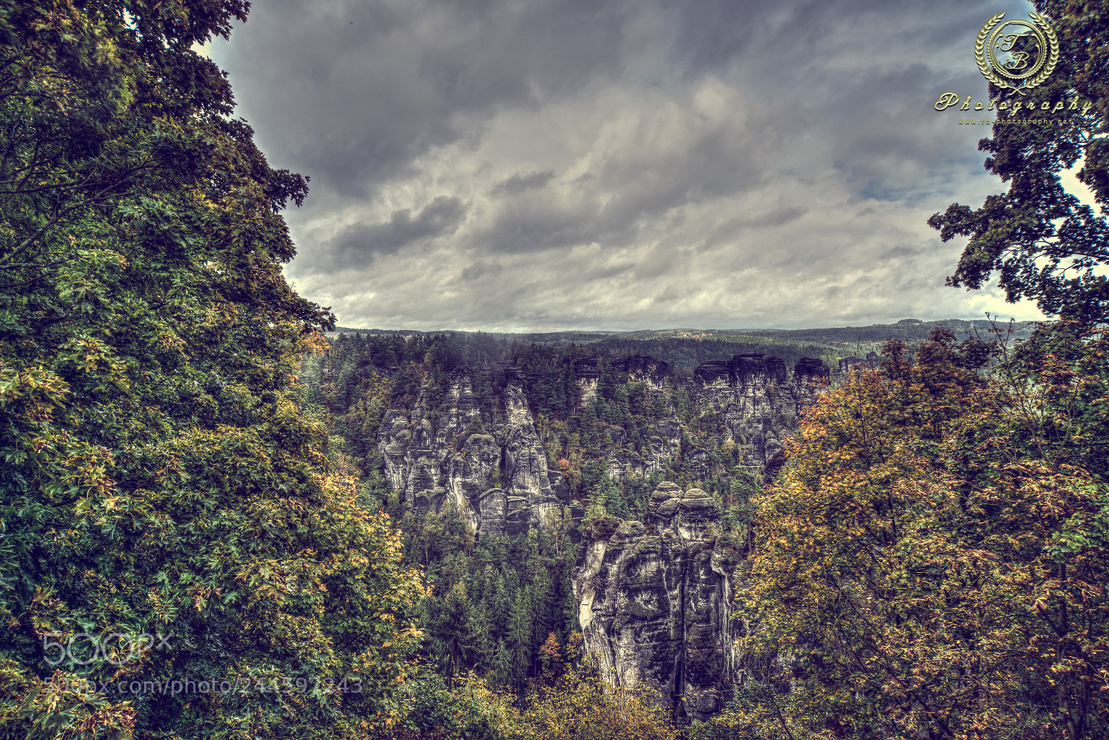 Nikon D800 sample photo. Die felsen der bastei photography