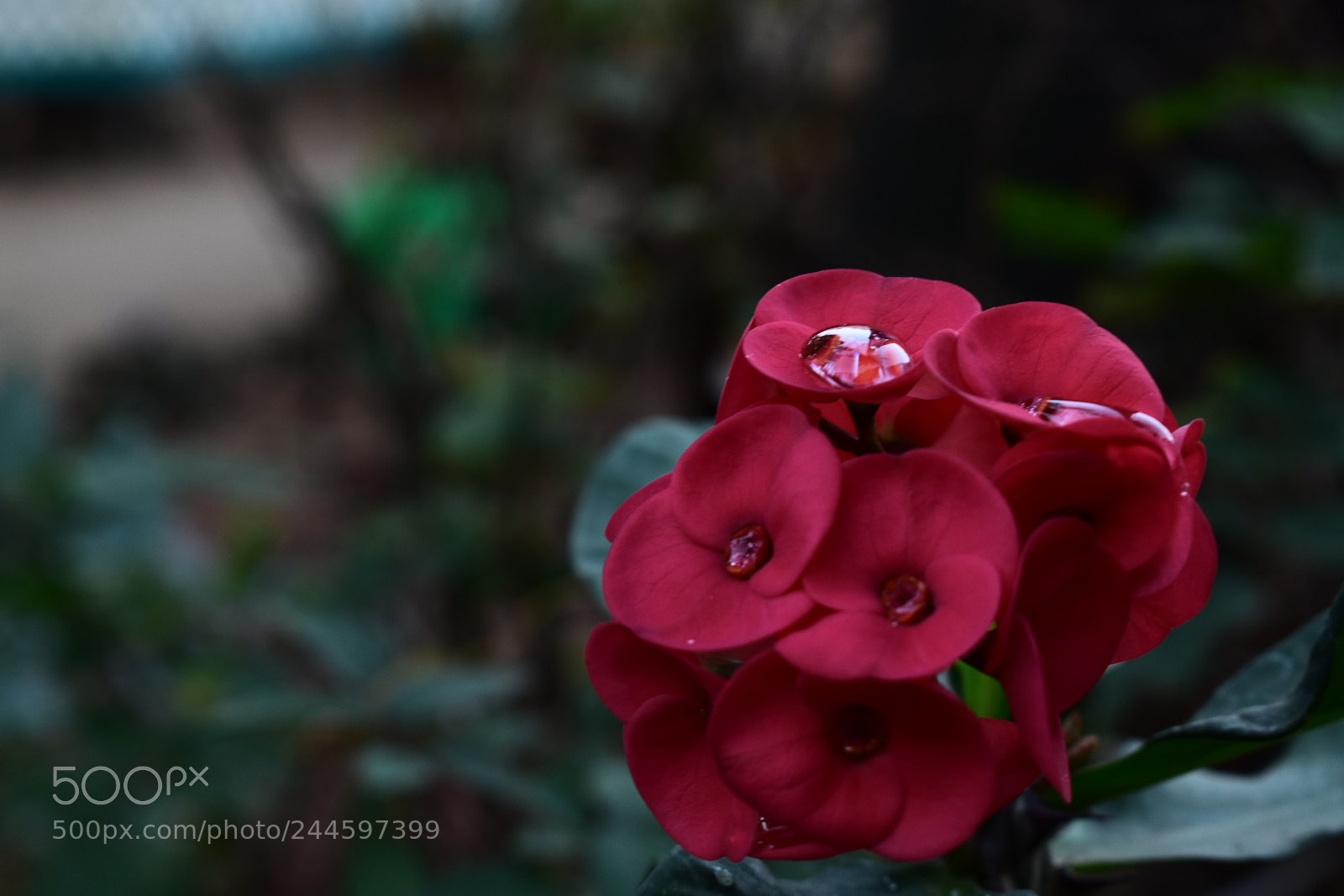 Nikon D5500 sample photo. Untitled photography