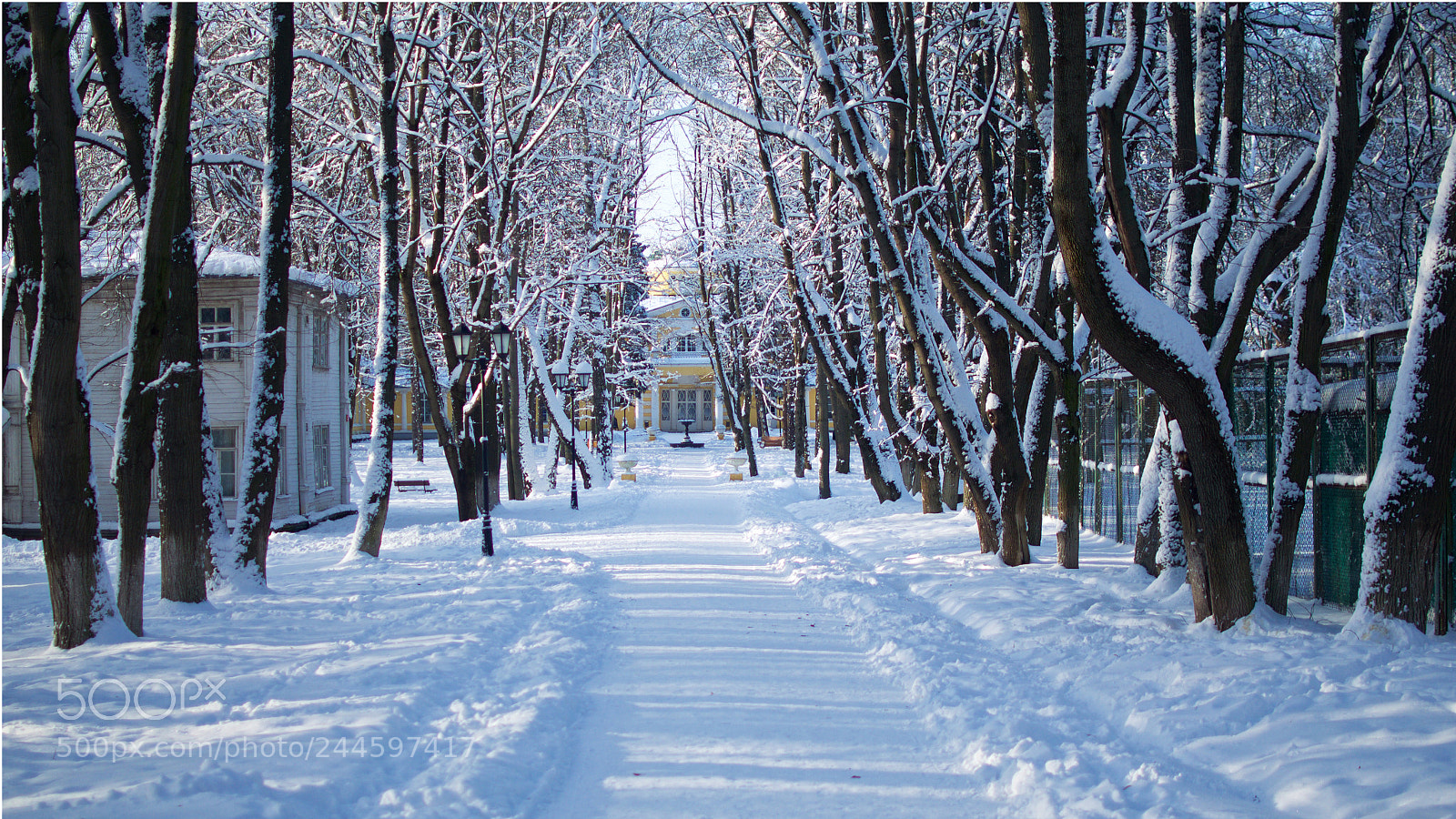 Nikon D5100 sample photo. Winter photography