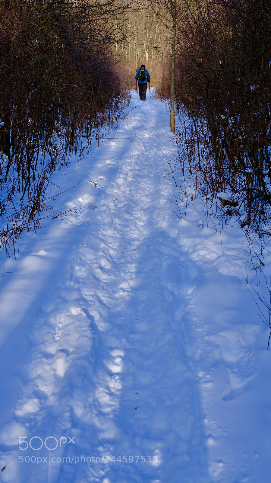 Fujifilm GFX 50S sample photo. Hiking at winter afternoon photography