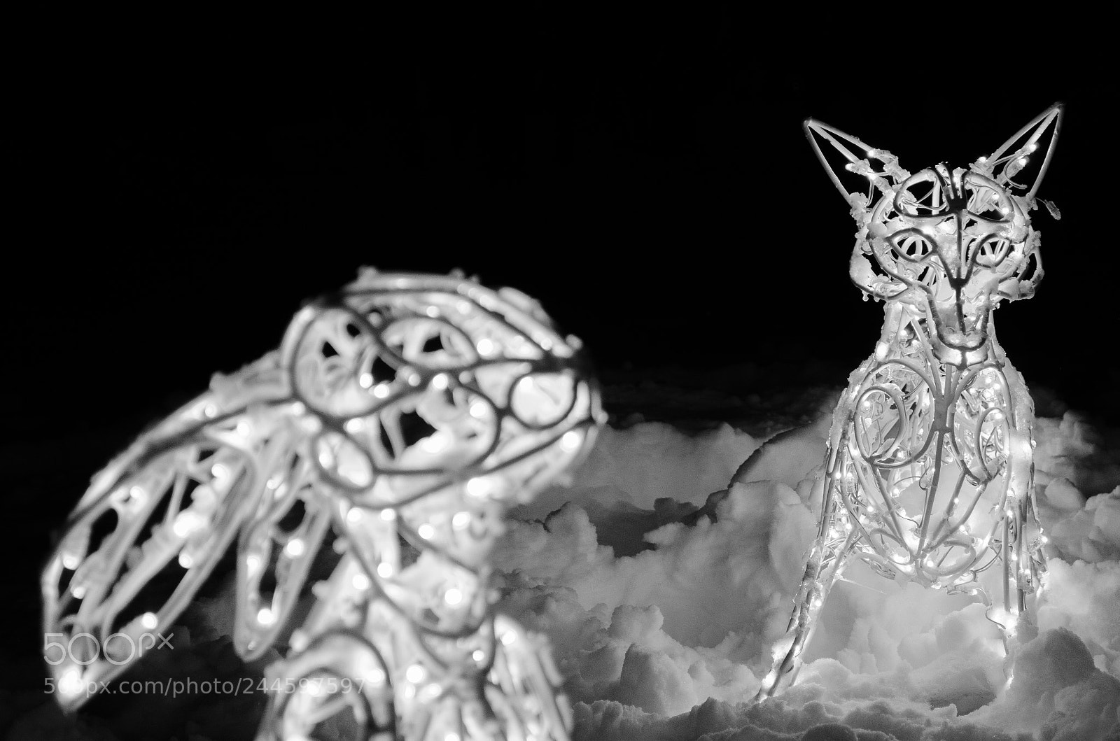 Nikon D5100 sample photo. The night in the photography