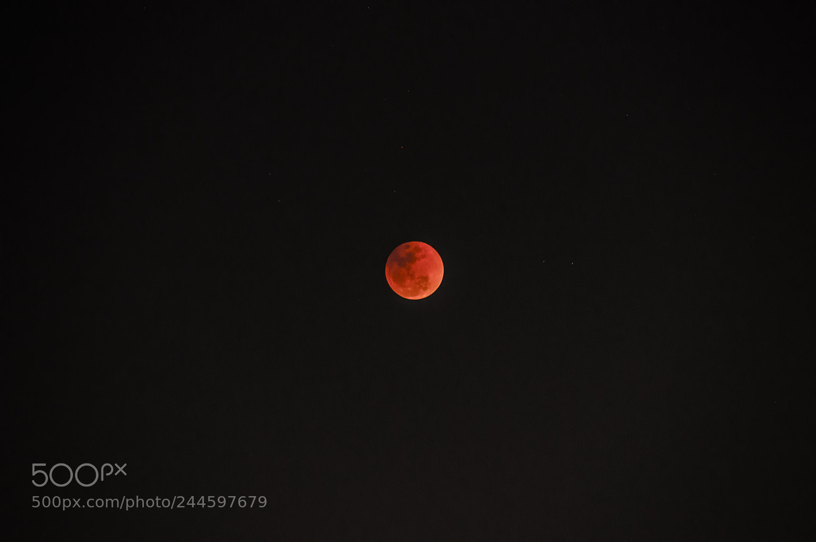 Nikon D3200 sample photo. Super blood blue moon photography