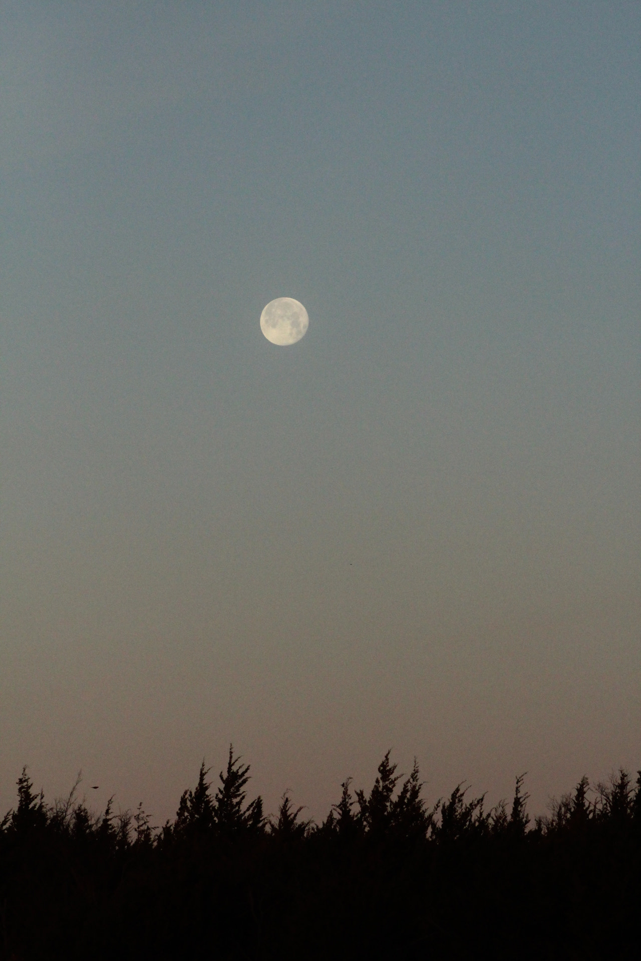 Canon EOS 1300D (EOS Rebel T6 / EOS Kiss X80) + EF75-300mm f/4-5.6 sample photo. Super blue moon, the next morning photography