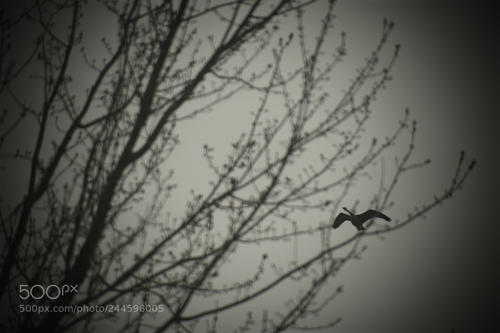 Nikon D3400 sample photo. Untitled photography