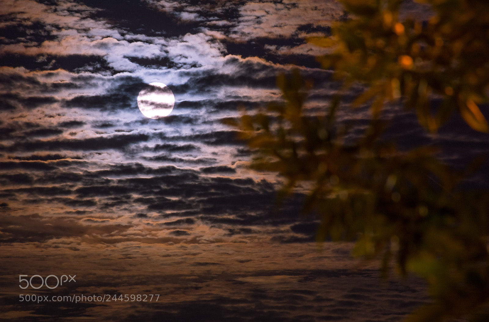 Nikon D7100 sample photo. Untitled photography
