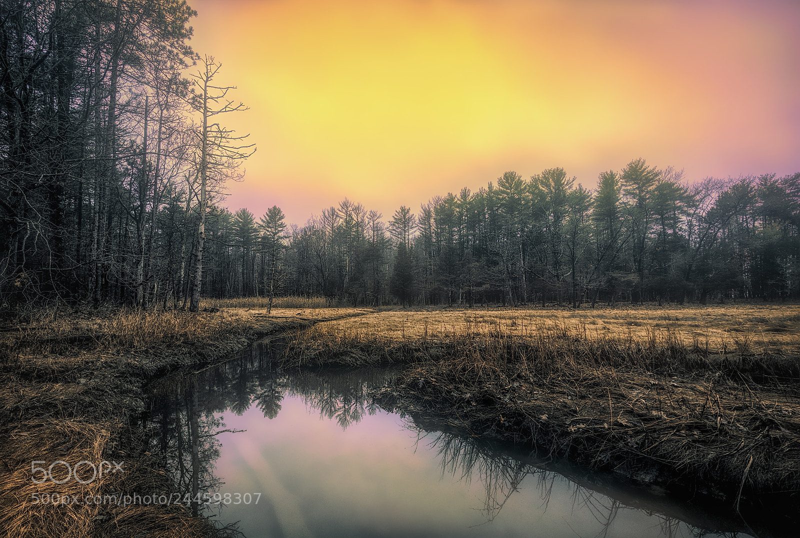 Sony a7R sample photo. Soft sunrise photography