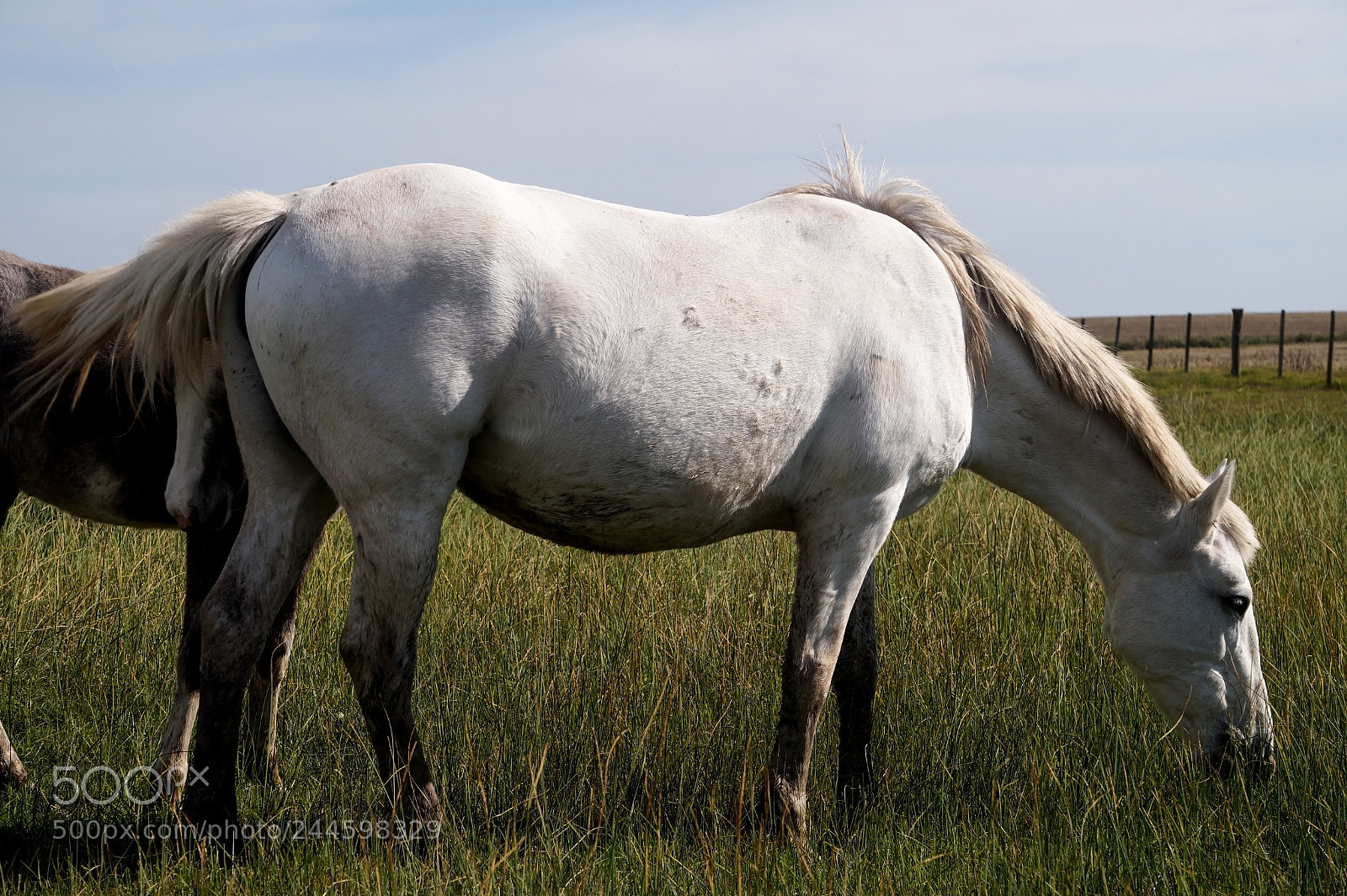 Sony Alpha a3500 sample photo. Dsc photography