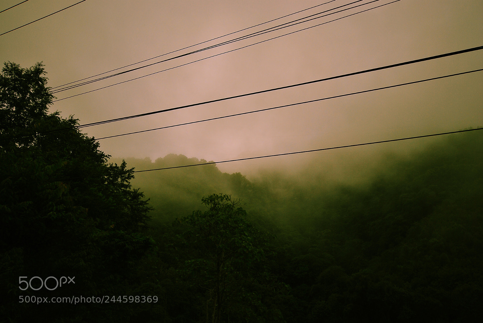 Nikon D3000 sample photo. Apocalypse now photography