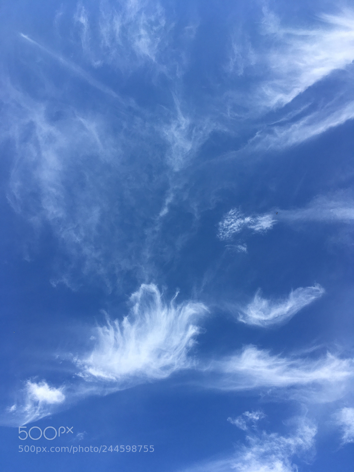 Apple iPhone SE sample photo. Blue sky photography