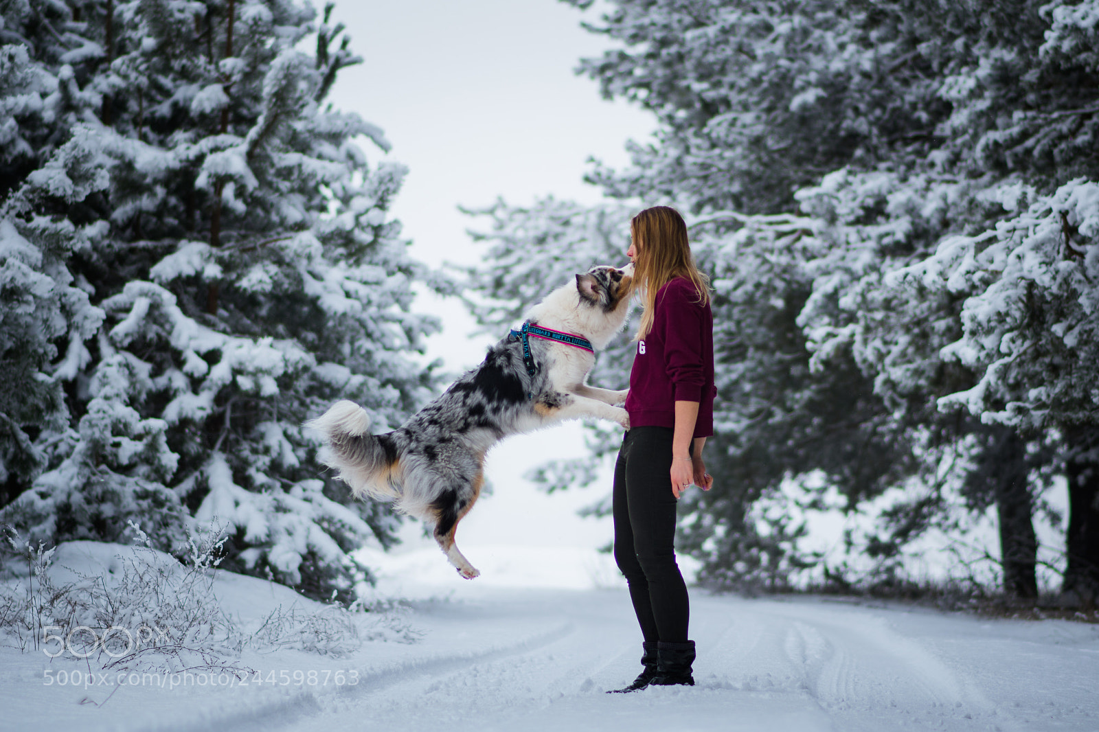 Nikon D5500 sample photo. Kiss photography