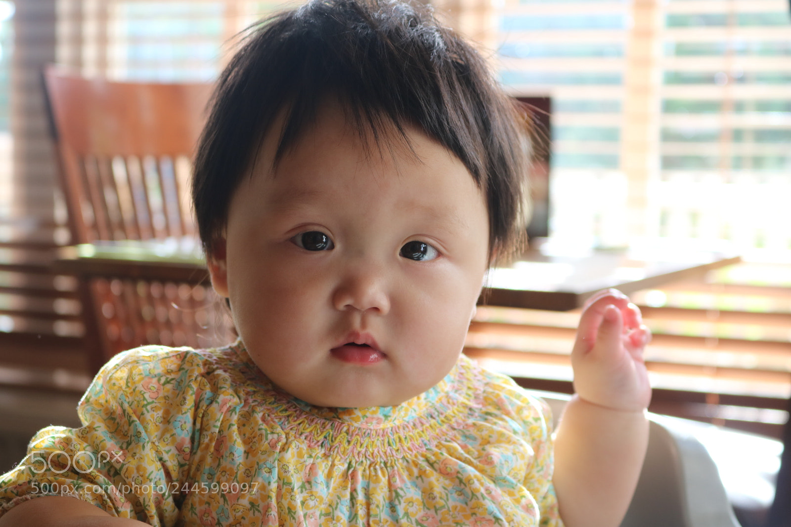 Canon EOS 750D (EOS Rebel T6i / EOS Kiss X8i) sample photo. Untitled photography