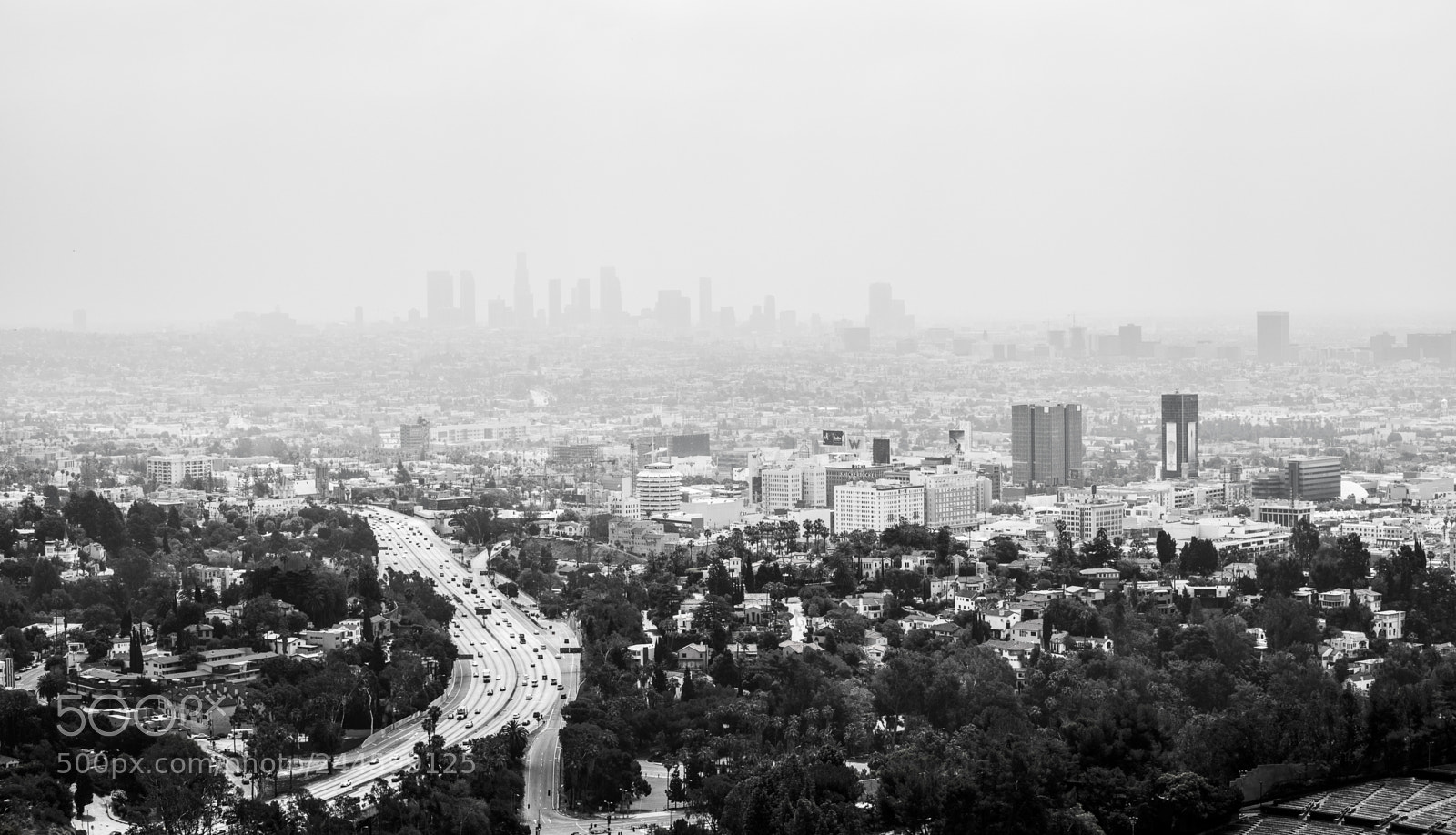 Nikon D800 sample photo. Los angeles photography
