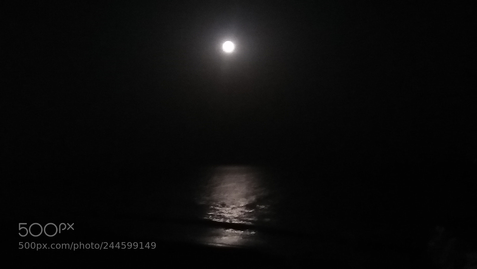 OPPO A37fw-International sample photo. Untitled photography