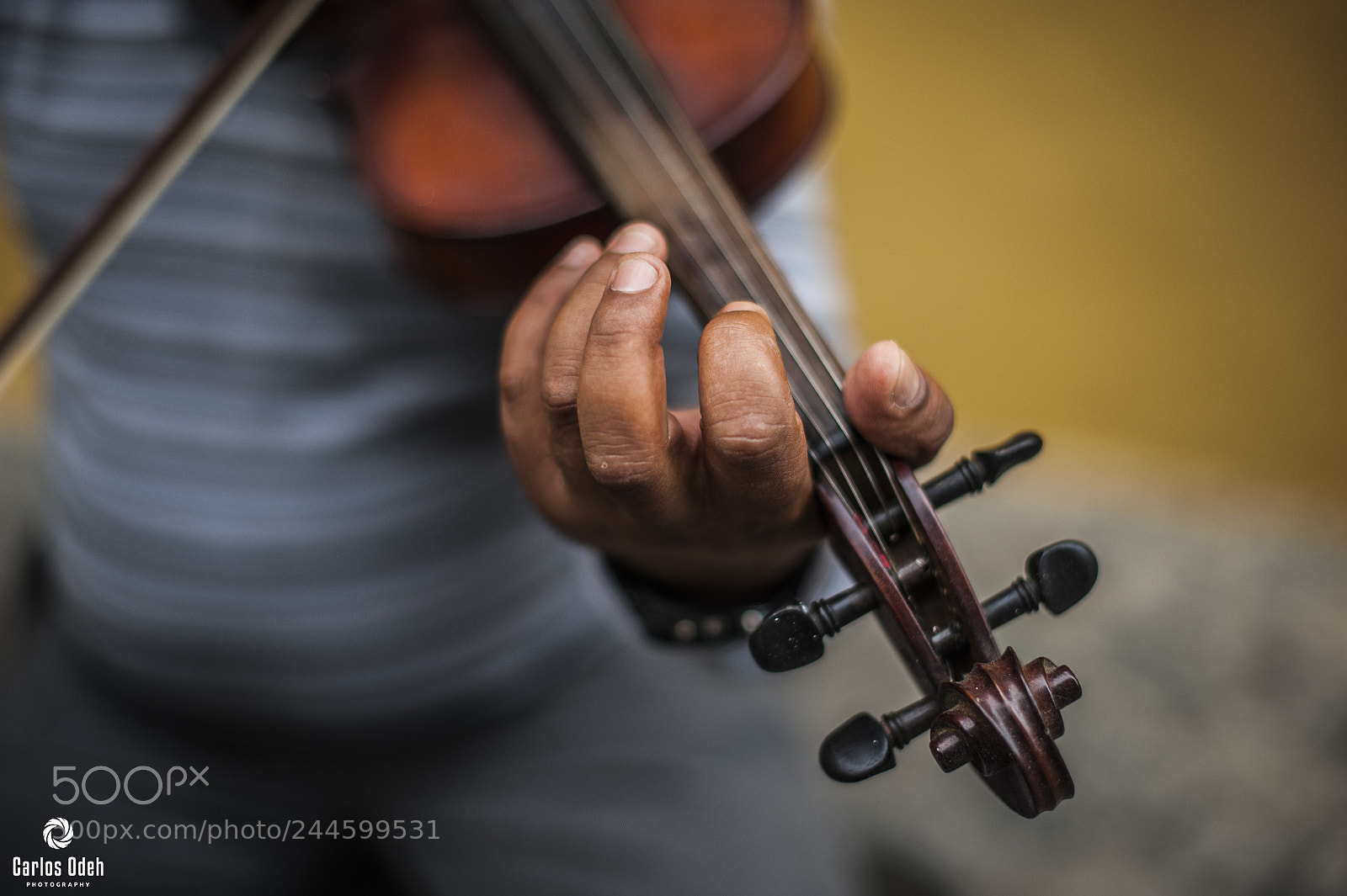 Nikon D700 sample photo. The violinist photography
