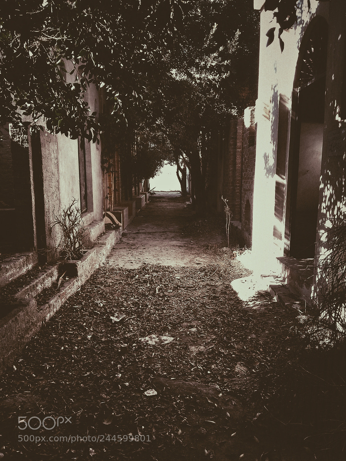 HUAWEI Y6II sample photo. Untitled photography
