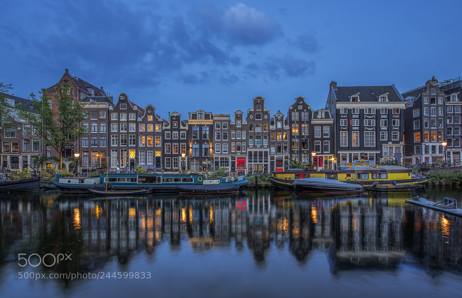 Nikon D800 sample photo. Blue singel photography