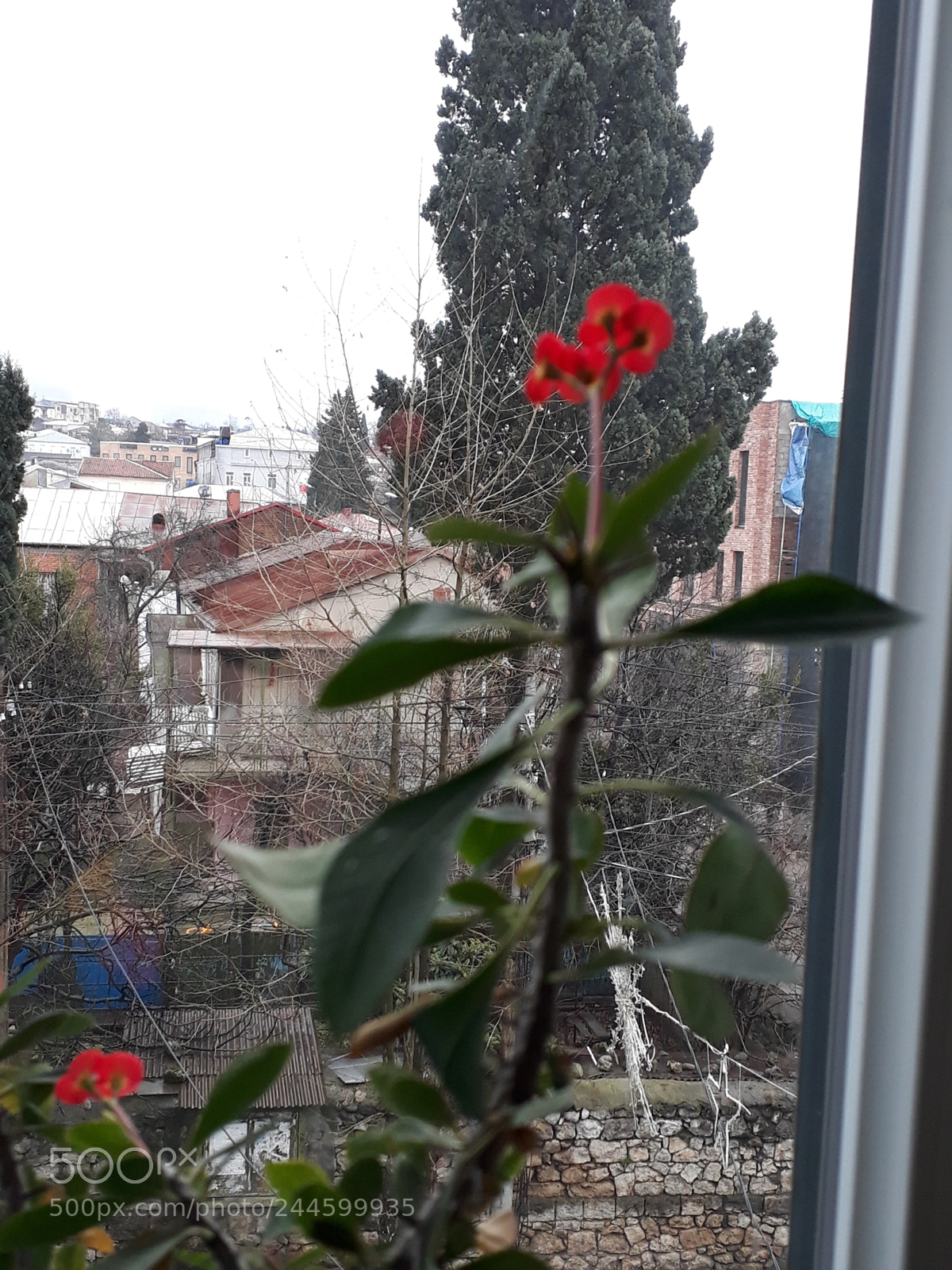 Samsung Galaxy A3(2017) sample photo. Untitled photography