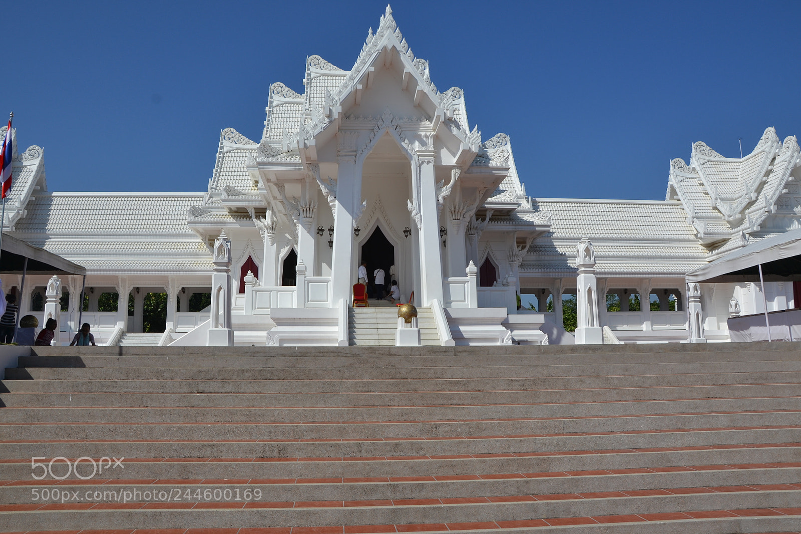 Nikon D3100 sample photo. Untitled photography