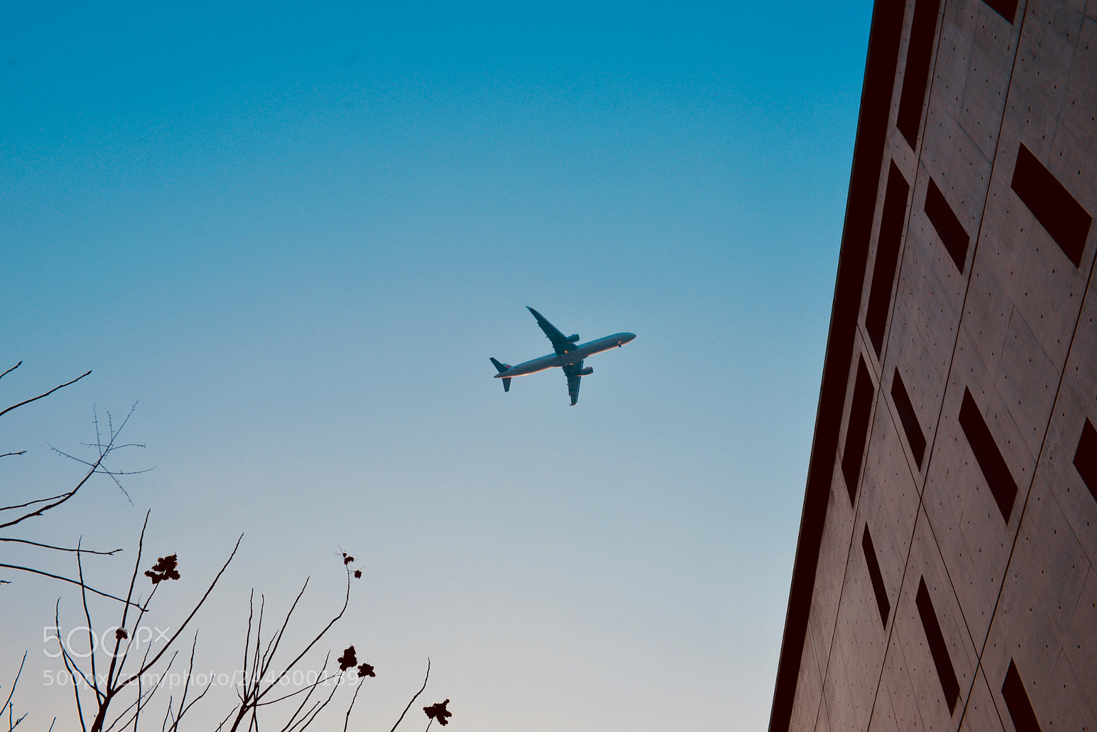 Nikon D610 sample photo. 飞机飞过天空 photography