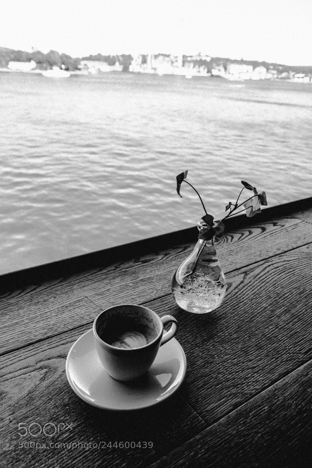 Sony ILCA-77M2 sample photo. Coffee in stockholm photography