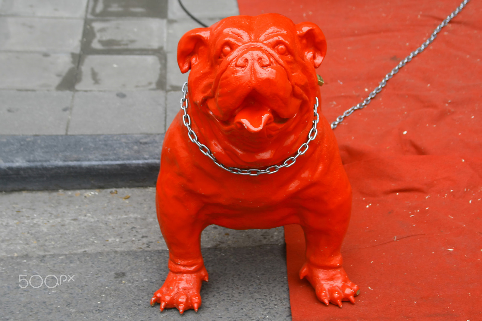 Canon EF 28-135mm F3.5-5.6 IS USM sample photo. Red dog photography